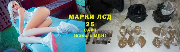 дмт Инсар