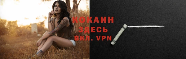 mdpv Иннополис
