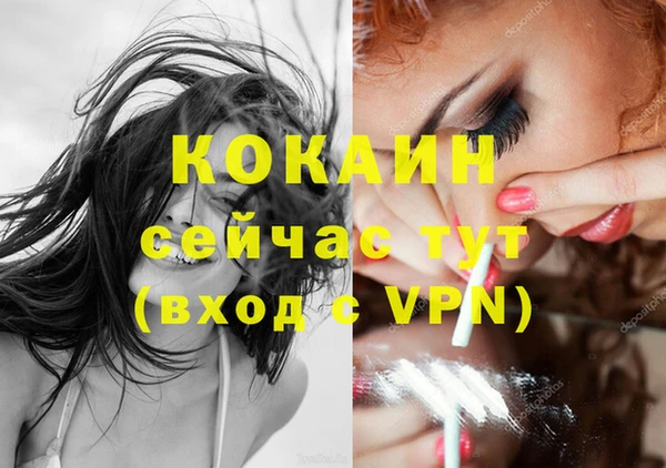 дмт Инсар