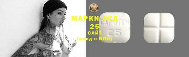 mdpv Иннополис