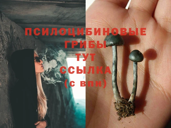 дмт Инсар