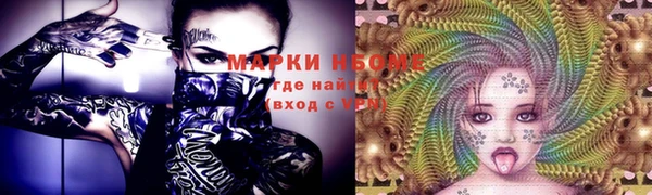 дмт Инсар
