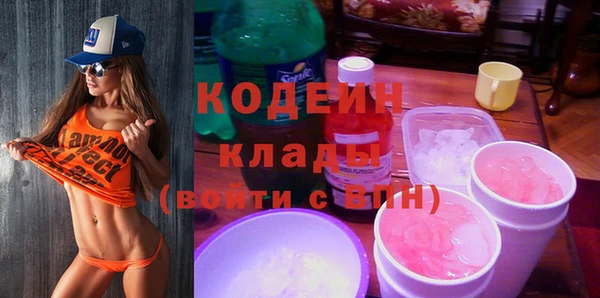 дмт Инсар