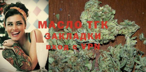 дмт Инсар